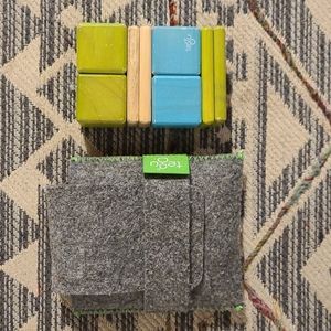 Tegu Magnetic Blocks